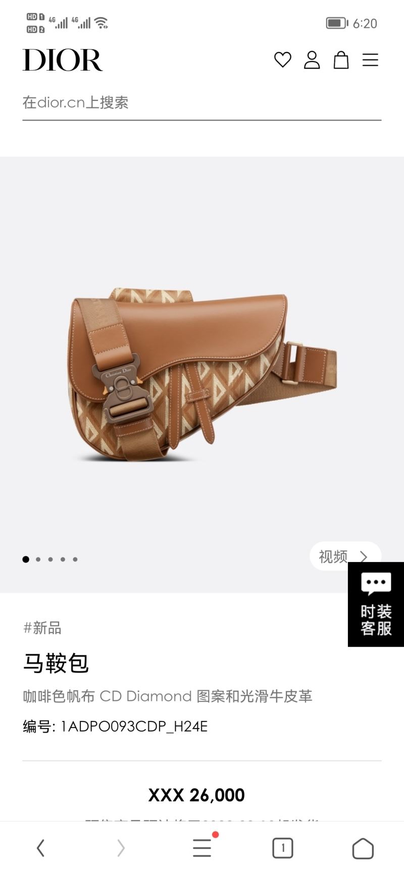 Christian Dior Saddle Bags